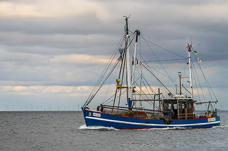 Picture representing Islanders Seafoods on the Isle of Bute