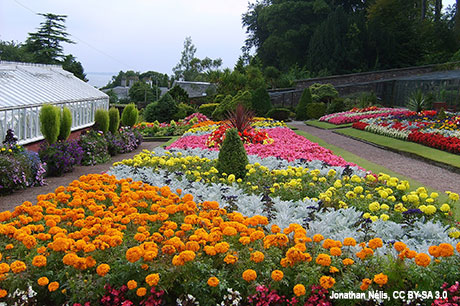 Picture of Ardencraig Gardens in Rothesay Isle of Bute