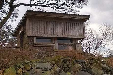 Picture of Ettrick Bay Bird Hide in Ettrick Bay Isle of Bute