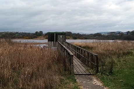 Picture representing Kirk Dam Bird Hide on the Isle of Bute