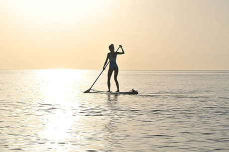 Picture representing Bute Paddle Boards Isle of Bute