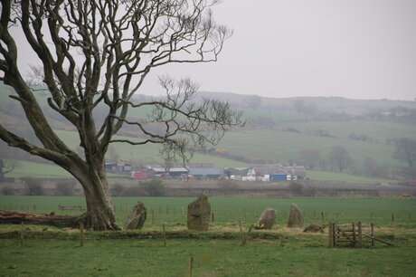 Picture representing St Colmac Cottages Stone Circle Isle of Bute