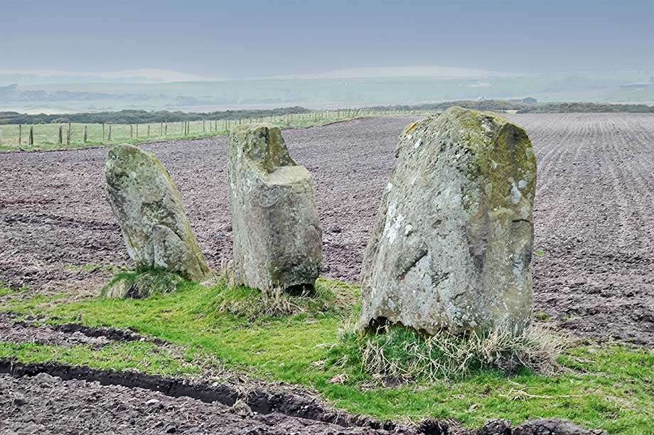 Picture of Largizean Standing Stones in Kingarth Isle of Bute