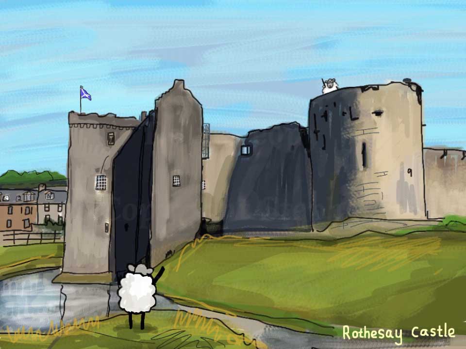 When Colin the Sheep visited Rothesay Castle