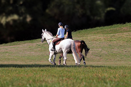 Image representing Jump into the saddle!